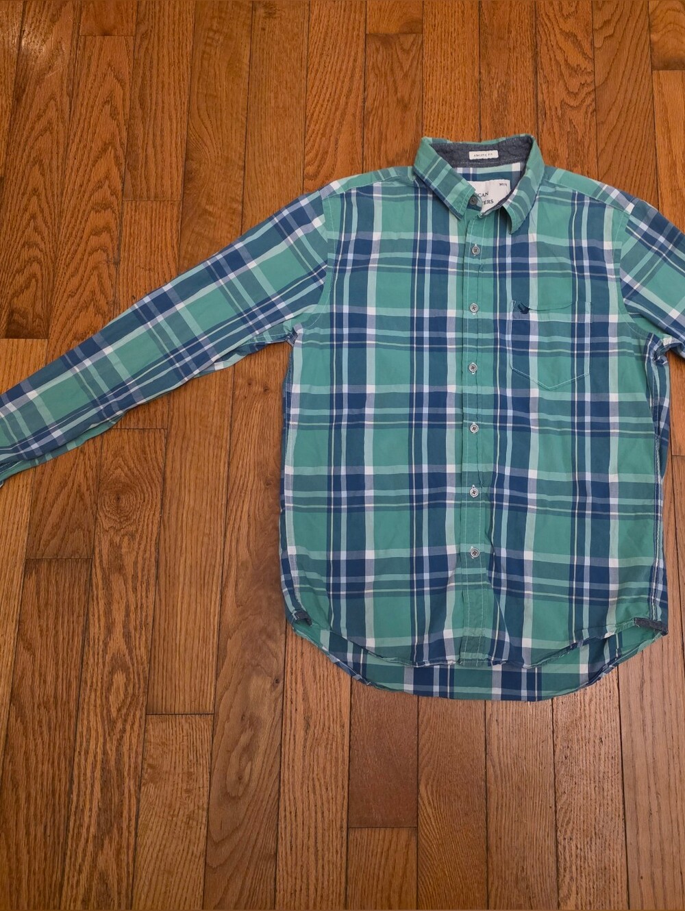 American Eagle Outfitters Blue and Green Plaid Button-Down Shirt